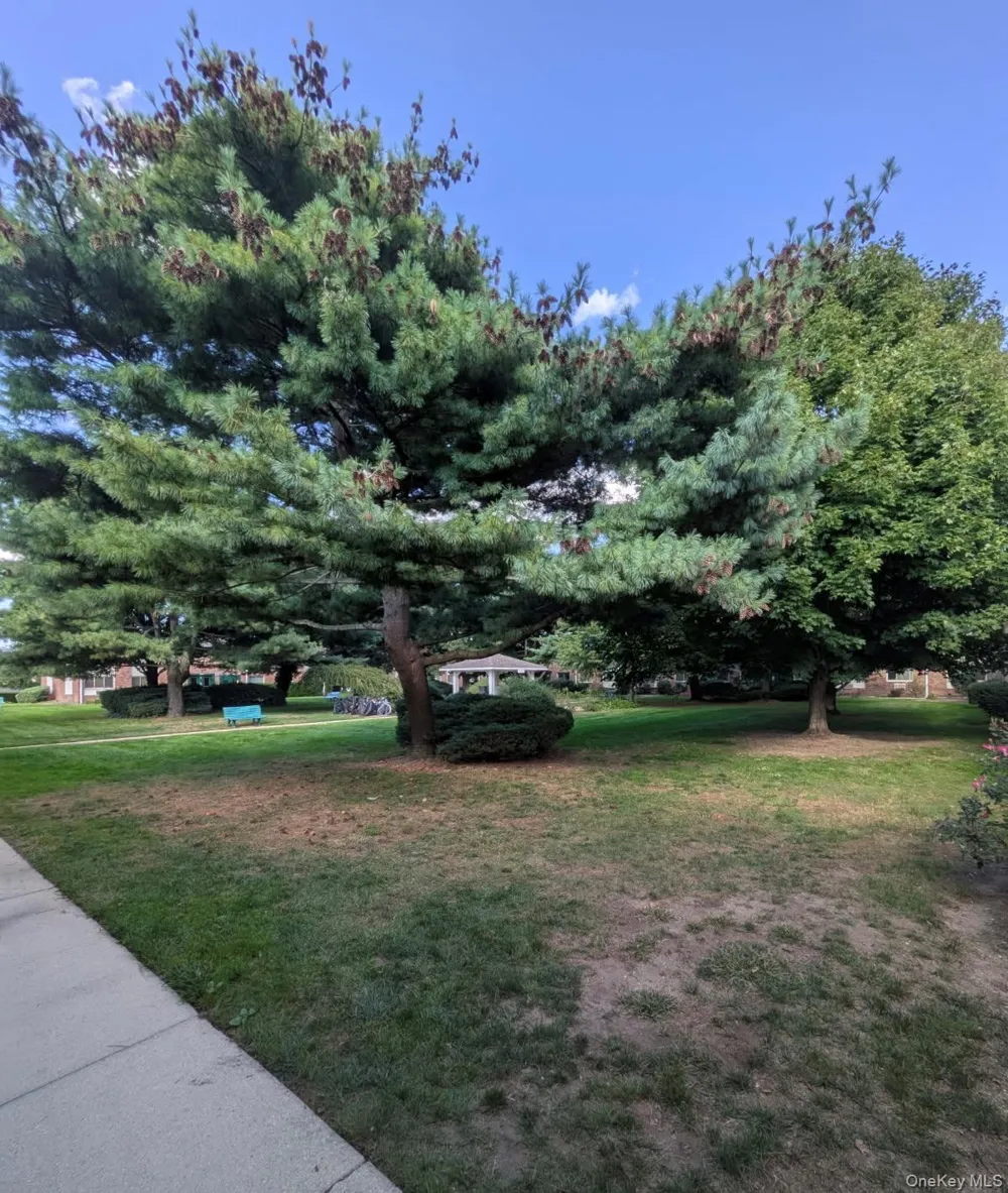 2453 B Union Boulevard #15A Islip, NY 11751