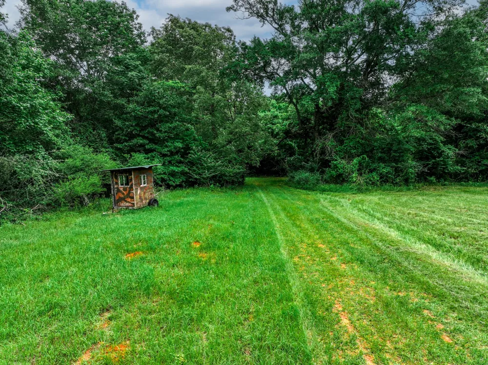 3732 US Highway 84 Palestine, TX 75801