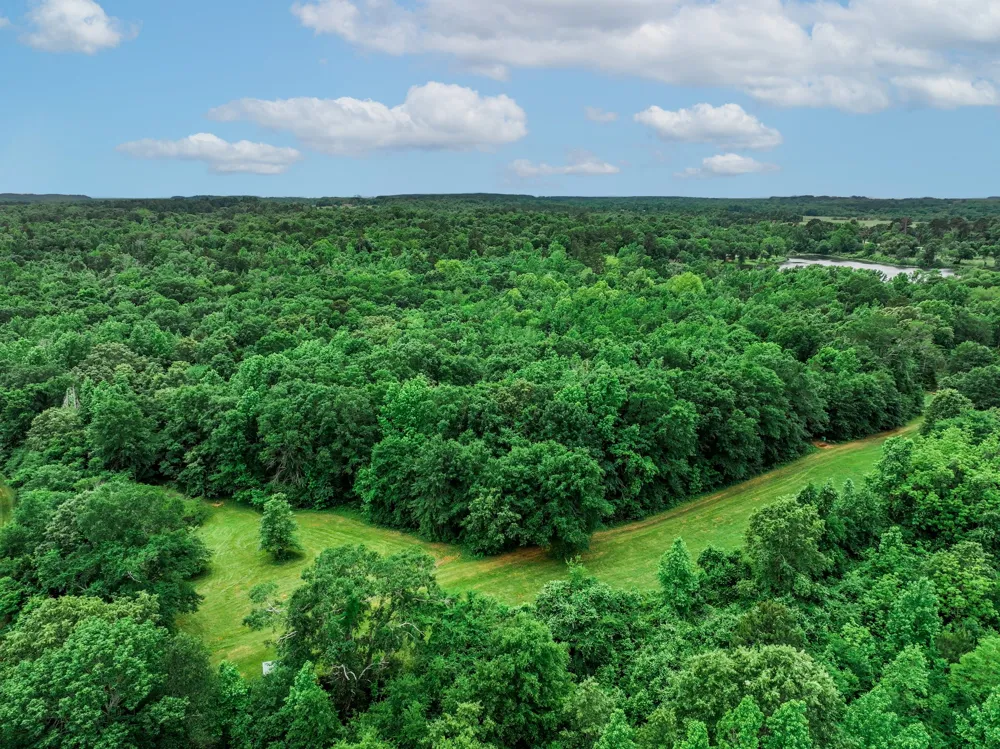 3732 US Highway 84 Palestine, TX 75801