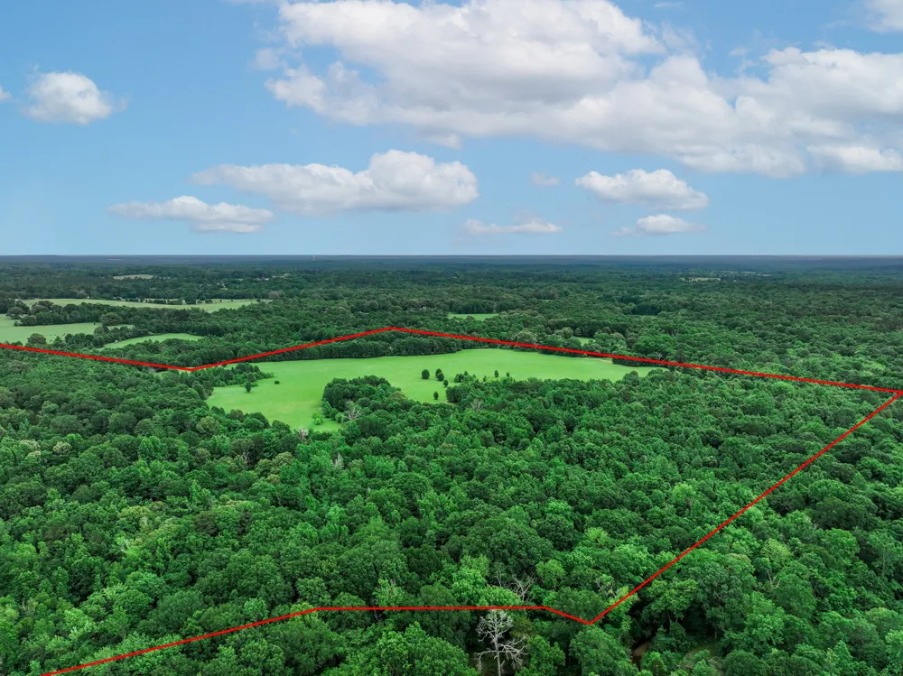 3732 US Highway 84 Palestine, TX 75801