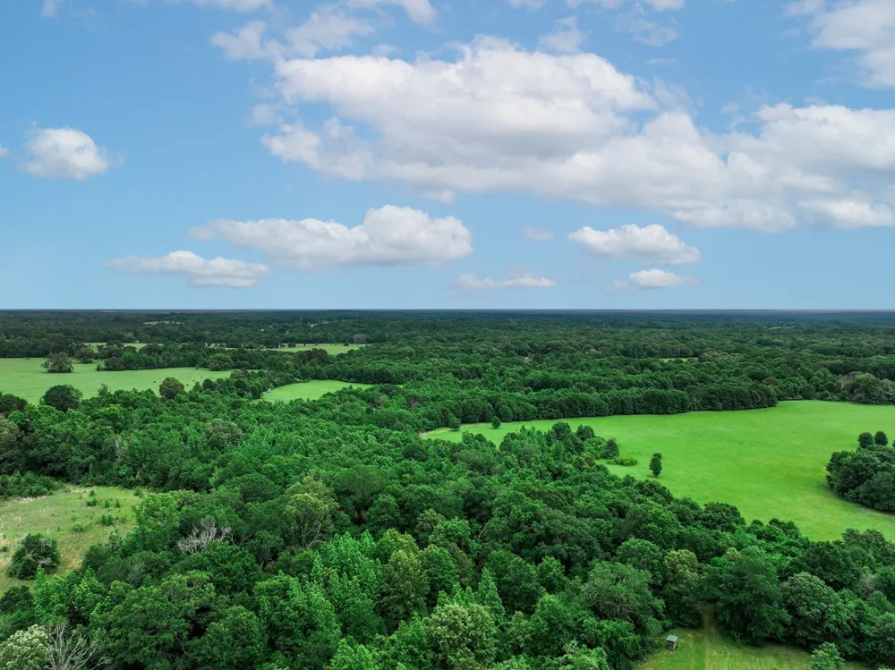 3732 US Highway 84 Palestine, TX 75801