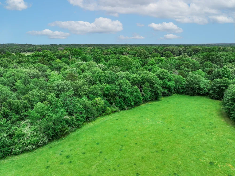 3732 US Highway 84 Palestine, TX 75801
