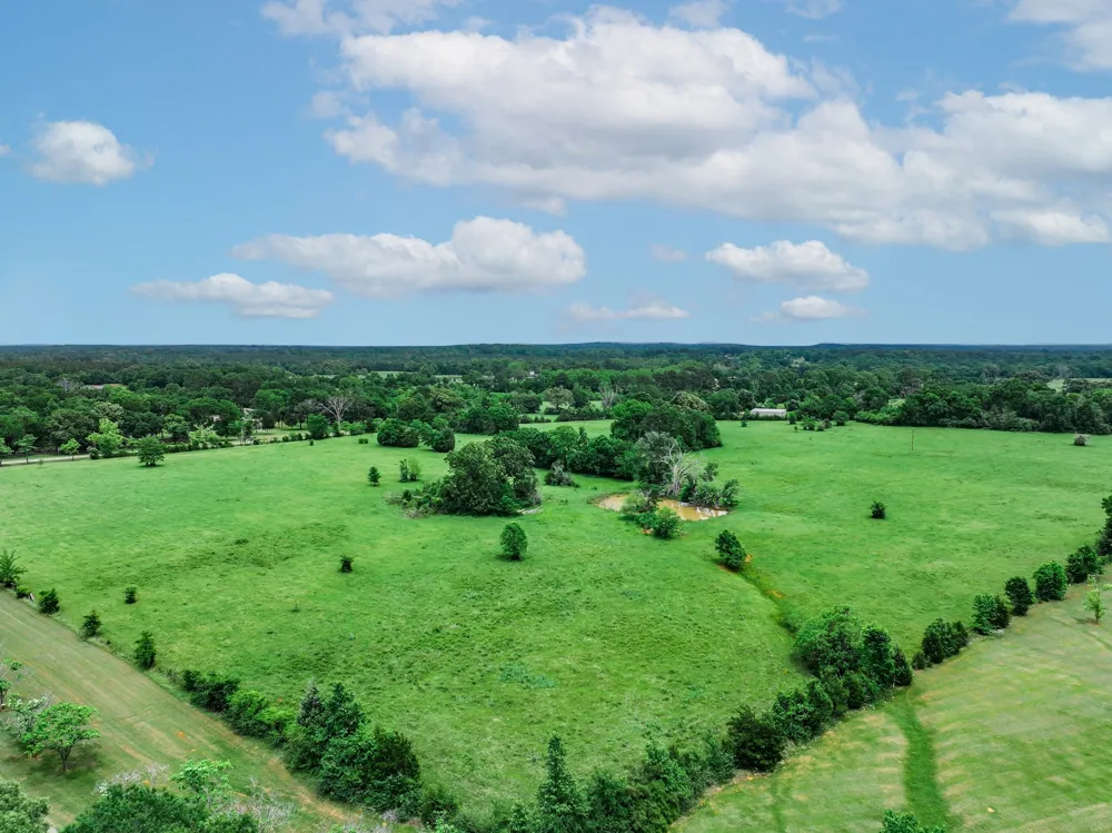3732 US Highway 84 Palestine, TX 75801