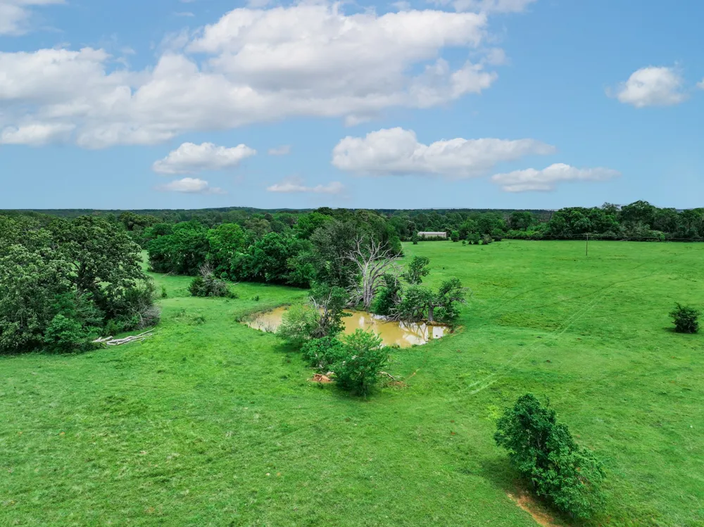 3732 US Highway 84 Palestine, TX 75801