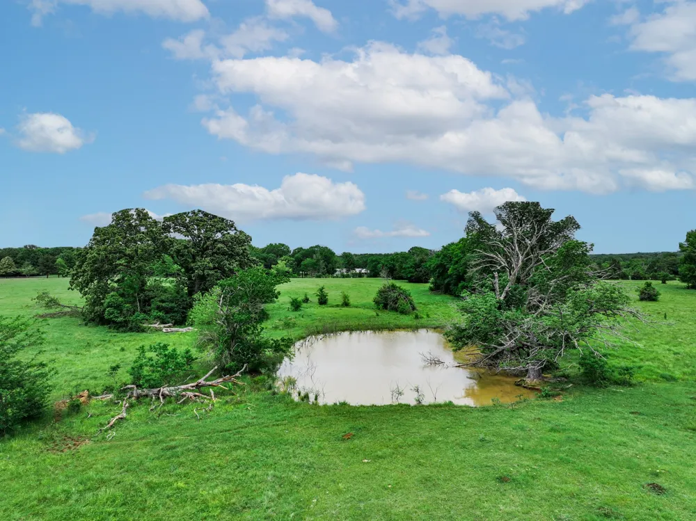 3732 US Highway 84 Palestine, TX 75801