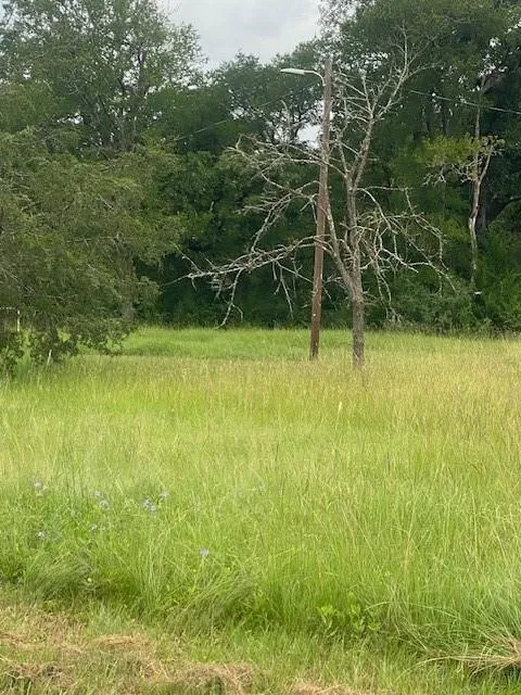 3284 County Road 117