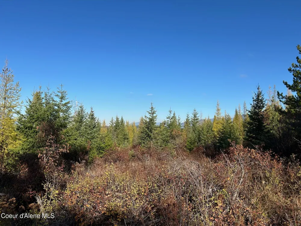 Tract B USFS 2222A Moyie Springs, ID 83845
