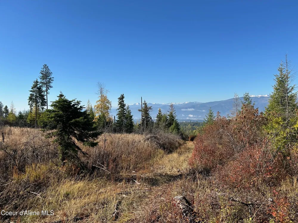Tract B USFS 2222A Moyie Springs, ID 83845
