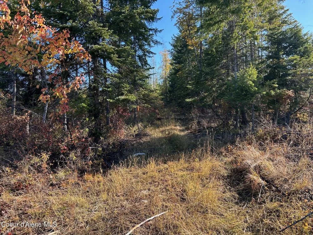 Tract B USFS 2222A Moyie Springs, ID 83845