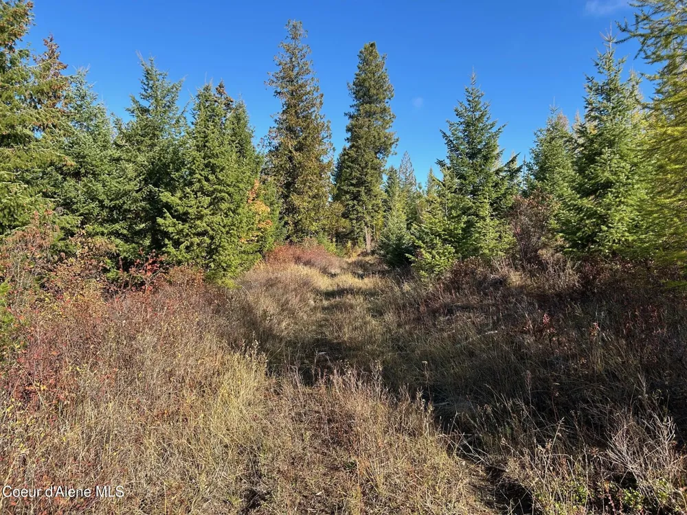 Tract B USFS 2222A Moyie Springs, ID 83845