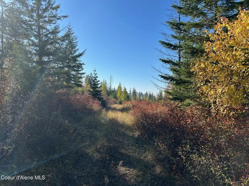 Tract B USFS 2222A Moyie Springs, ID 83845