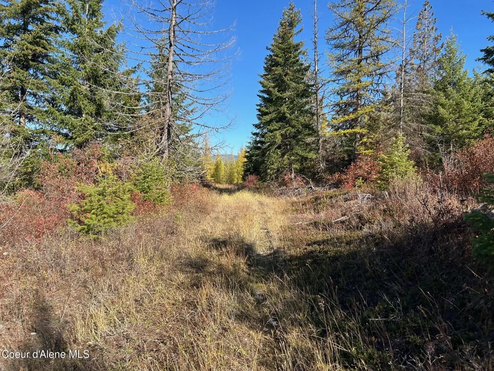 Tract B USFS 2222A Moyie Springs, ID 83845