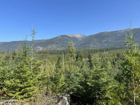 Tract 5 USFS 2294
