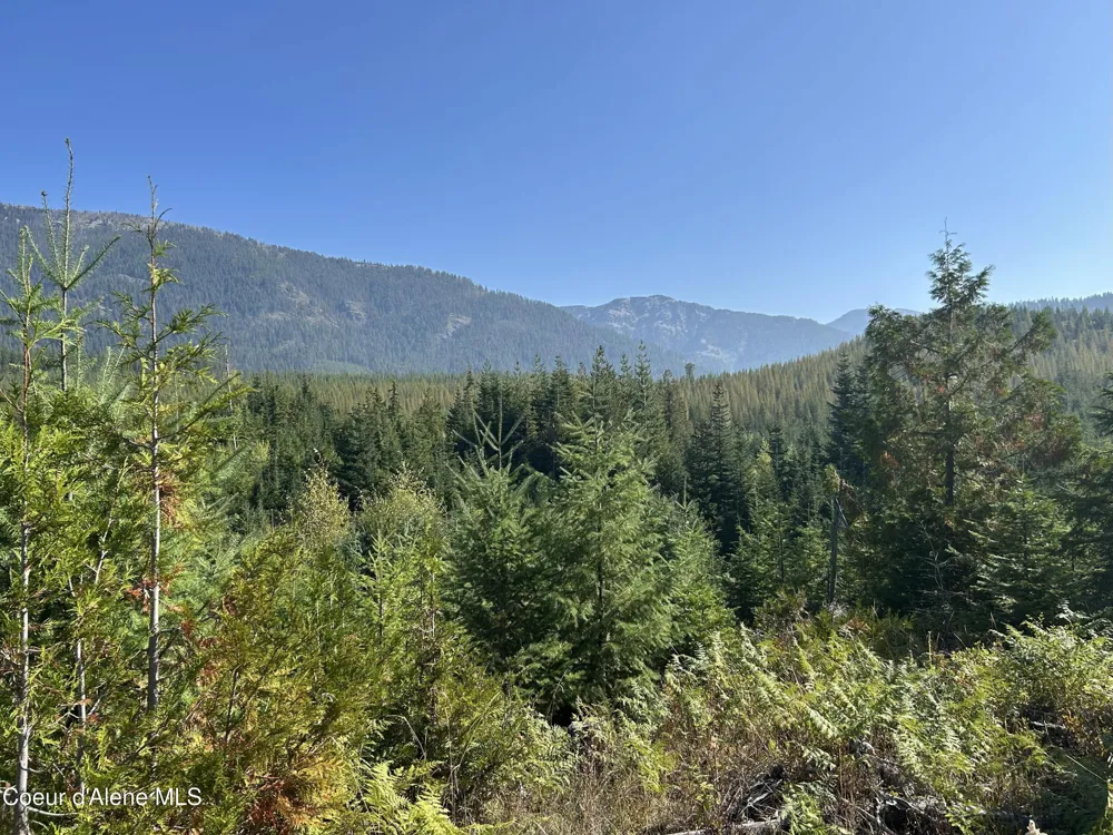 Tract 5 USFS 2294 Clark Fork, ID 83811