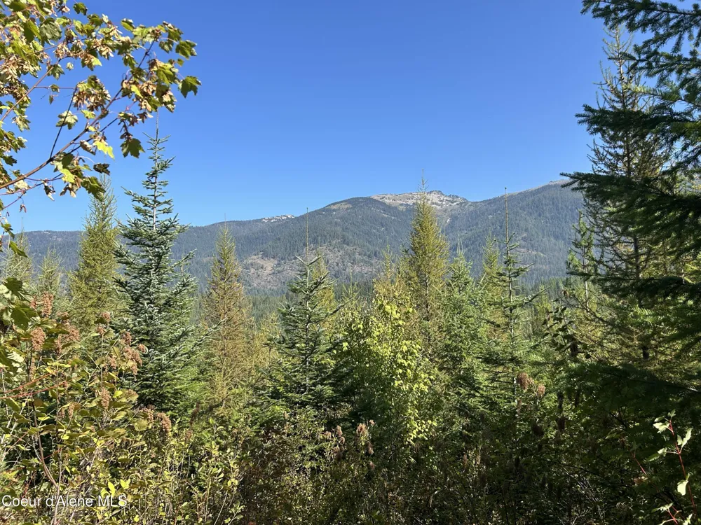 Tract 5 USFS 2294 Clark Fork, ID 83811