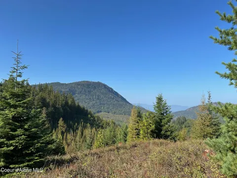 Tract 6 USFS 2294