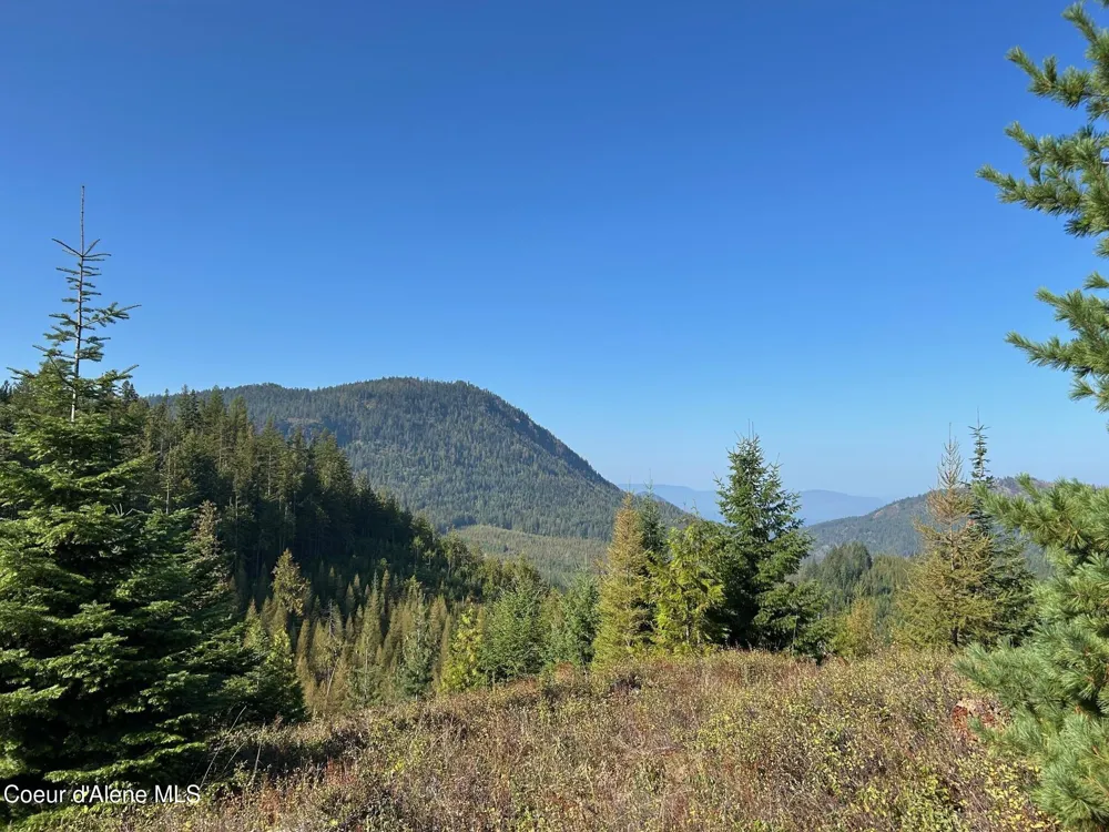 Tract 6 USFS 2294 Clark Fork, ID 83811