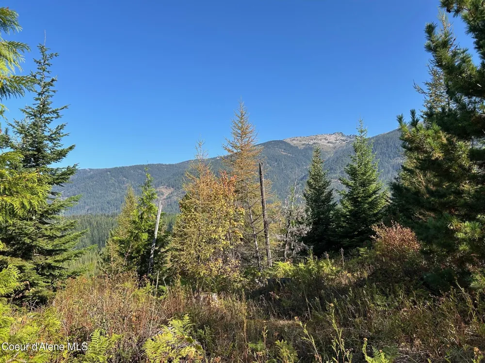 Tract 6 USFS 2294 Clark Fork, ID 83811