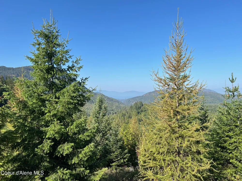 Tract 6 USFS 2294 Clark Fork, ID 83811