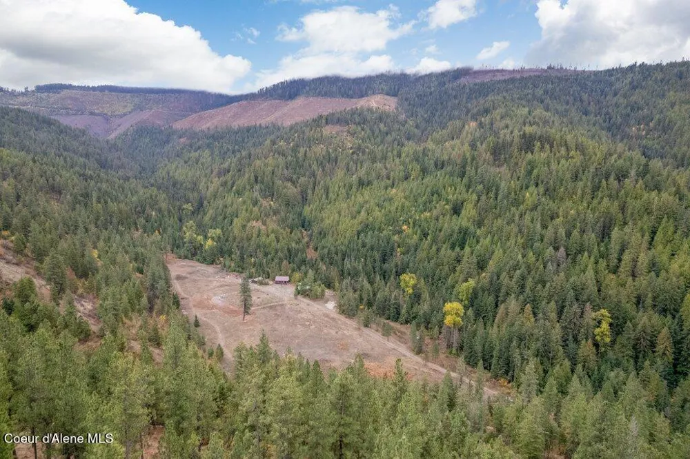 20308 E Canary Creek Road Cataldo, ID 83810