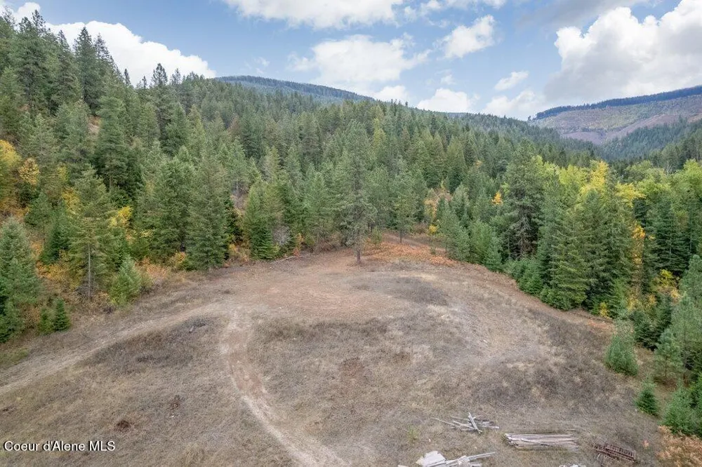 20308 E Canary Creek Road Cataldo, ID 83810