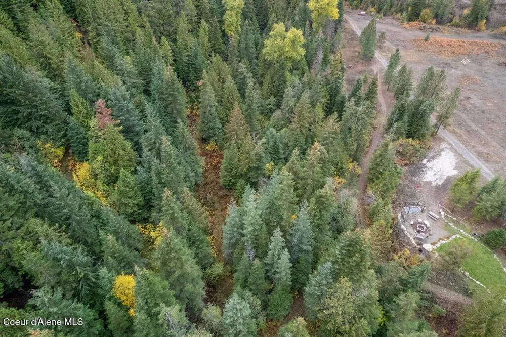 20308 E Canary Creek Road Cataldo, ID 83810