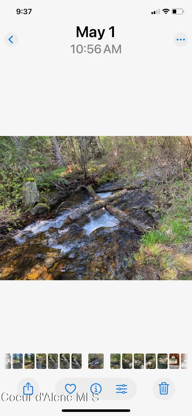 20308 E Canary Creek Road Cataldo, ID 83810