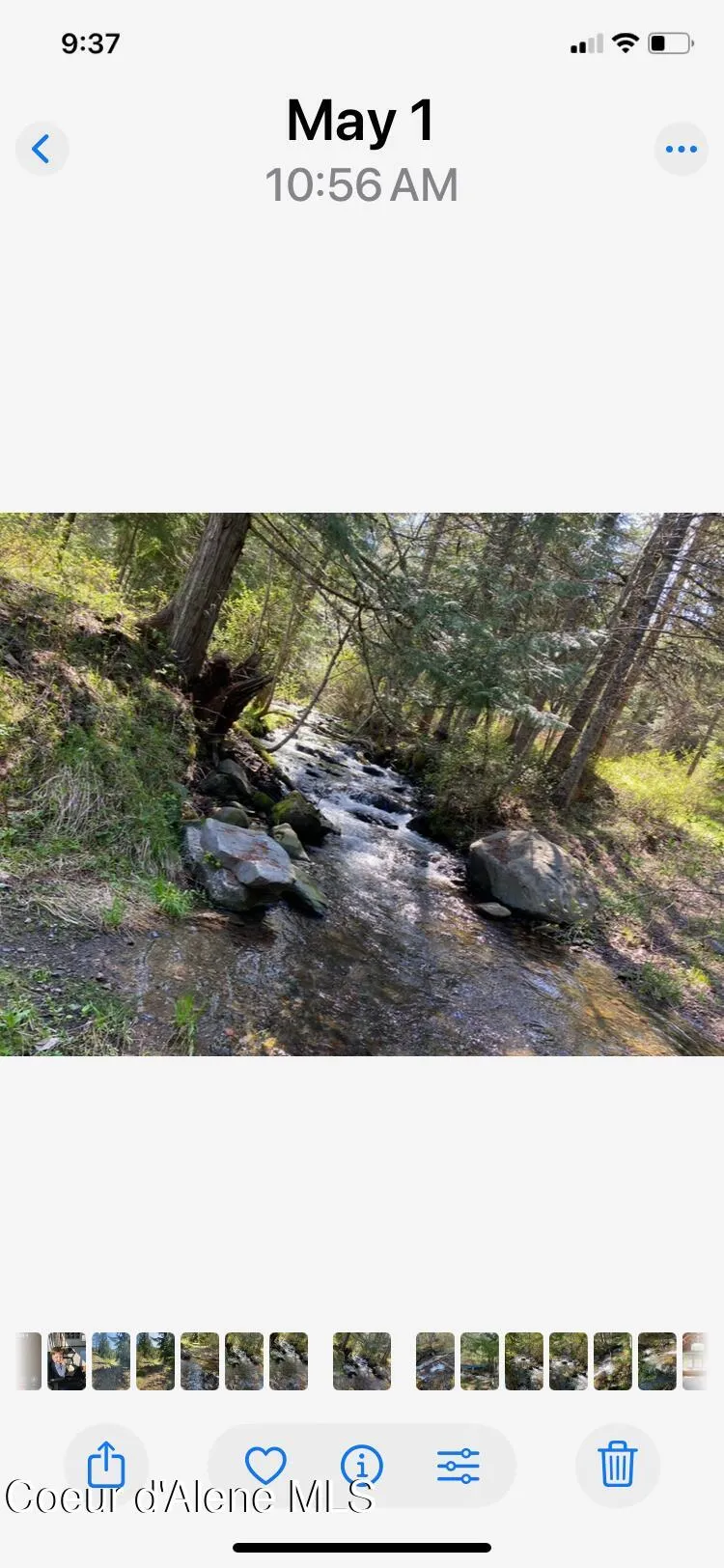 20308 E Canary Creek Road Cataldo, ID 83810