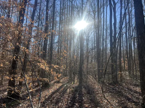 0 Excalibur Trail