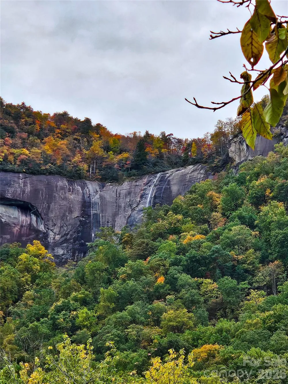 712 Main Street Chimney Rock, NC 28720