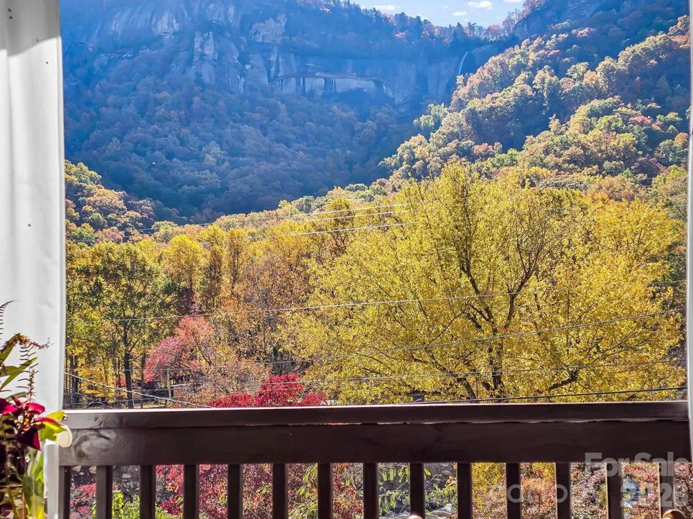 712 Main Street Chimney Rock, NC 28720