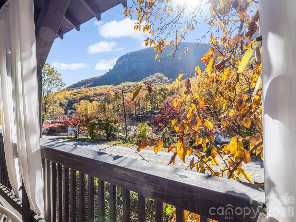 712 Main Street Chimney Rock, NC 28720