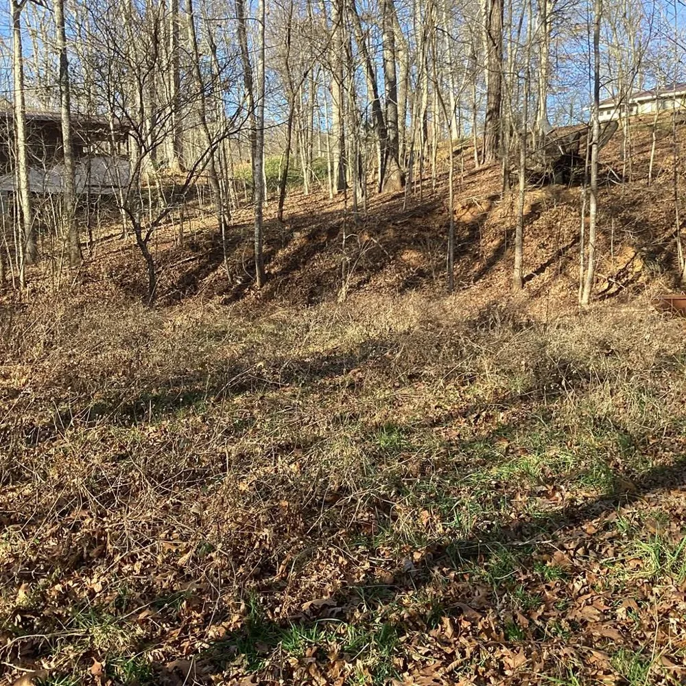 Old Mill Dr Bryson City, NC 28713