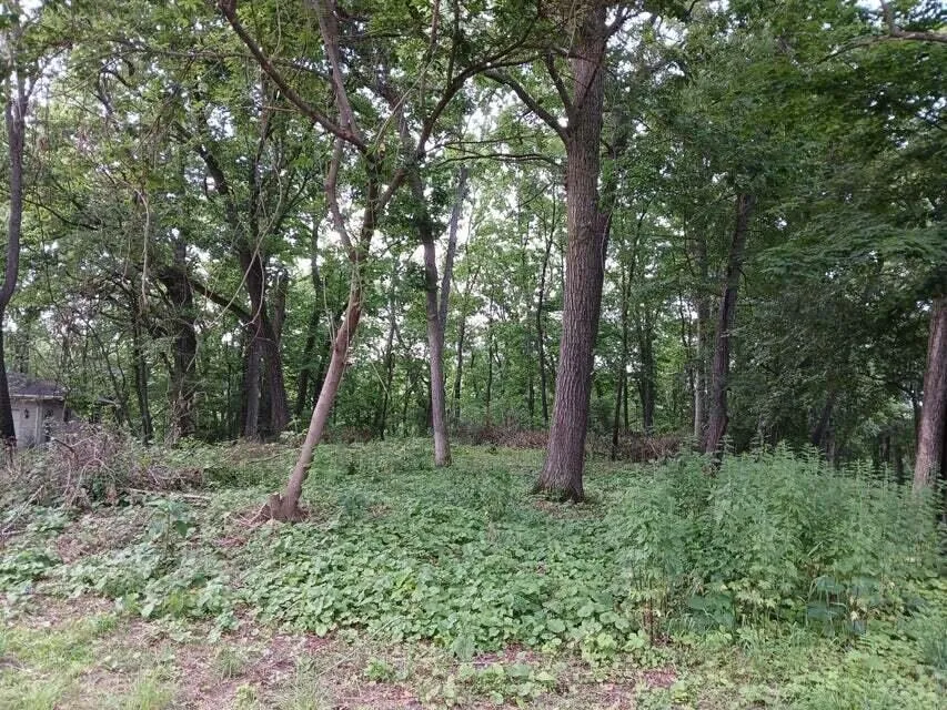 1272 Westlake Woods Drive Battle Creek, MI 49037