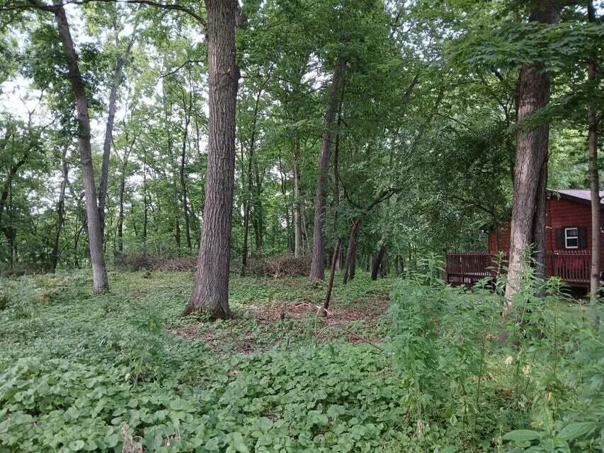 1272 Westlake Woods Drive Battle Creek, MI 49037