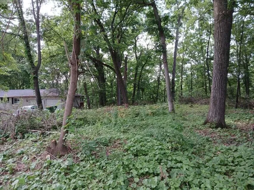1272 Westlake Woods Drive Battle Creek, MI 49037