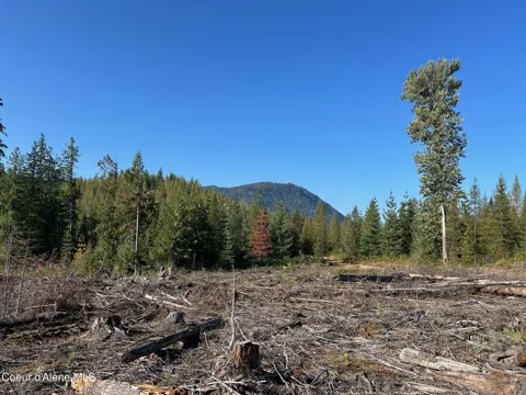 Tract 7 USFS 2294