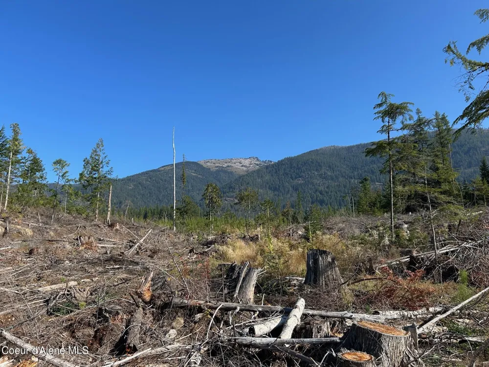 Tract 7 USFS 2294 Clark Fork, ID 83811