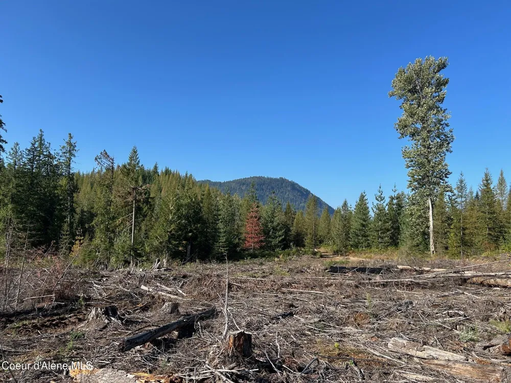 Tract 7 USFS 2294 Clark Fork, ID 83811