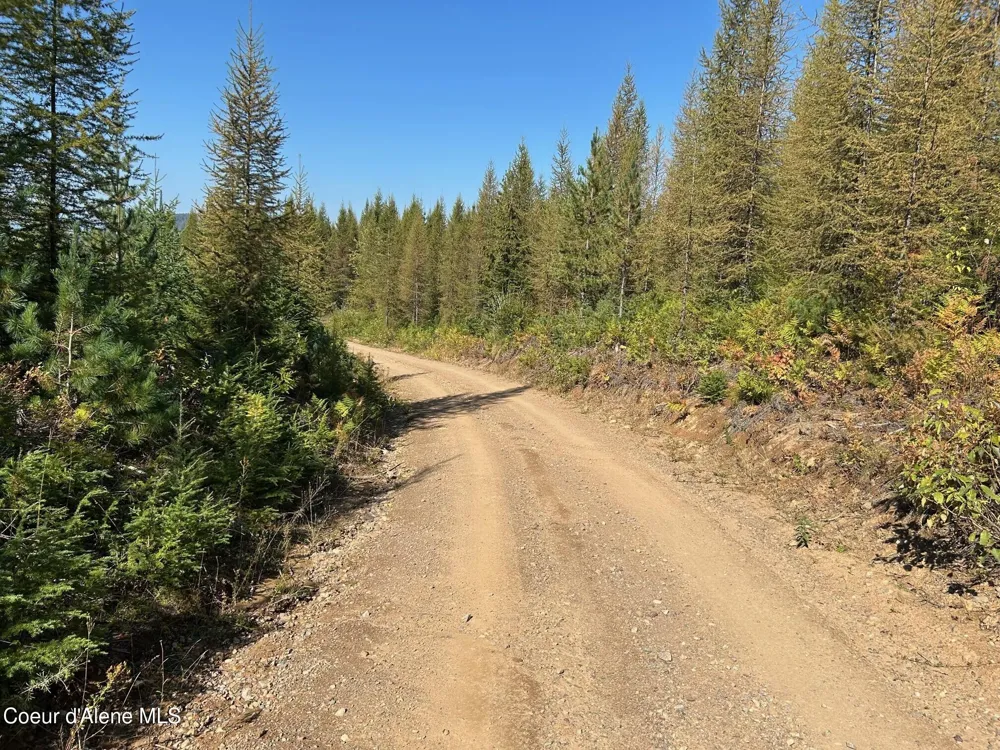 Tract 7 USFS 2294 Clark Fork, ID 83811