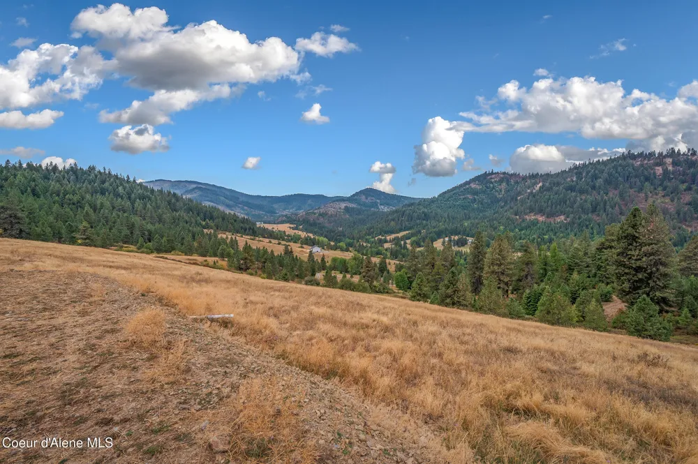26706 S WILLOW CREEK ROAD Medimont, ID 83842