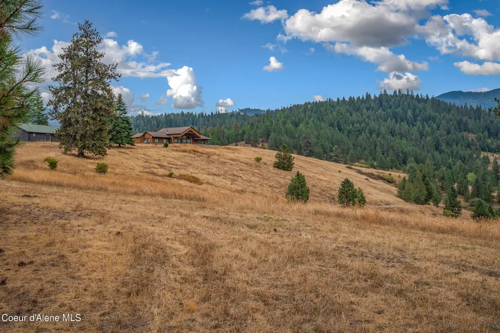 26706 S WILLOW CREEK ROAD Medimont, ID 83842