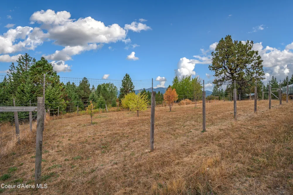 26706 S WILLOW CREEK ROAD Medimont, ID 83842