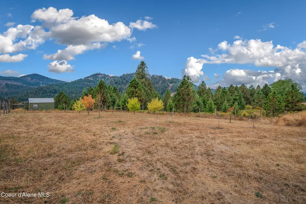 26706 S WILLOW CREEK ROAD Medimont, ID 83842