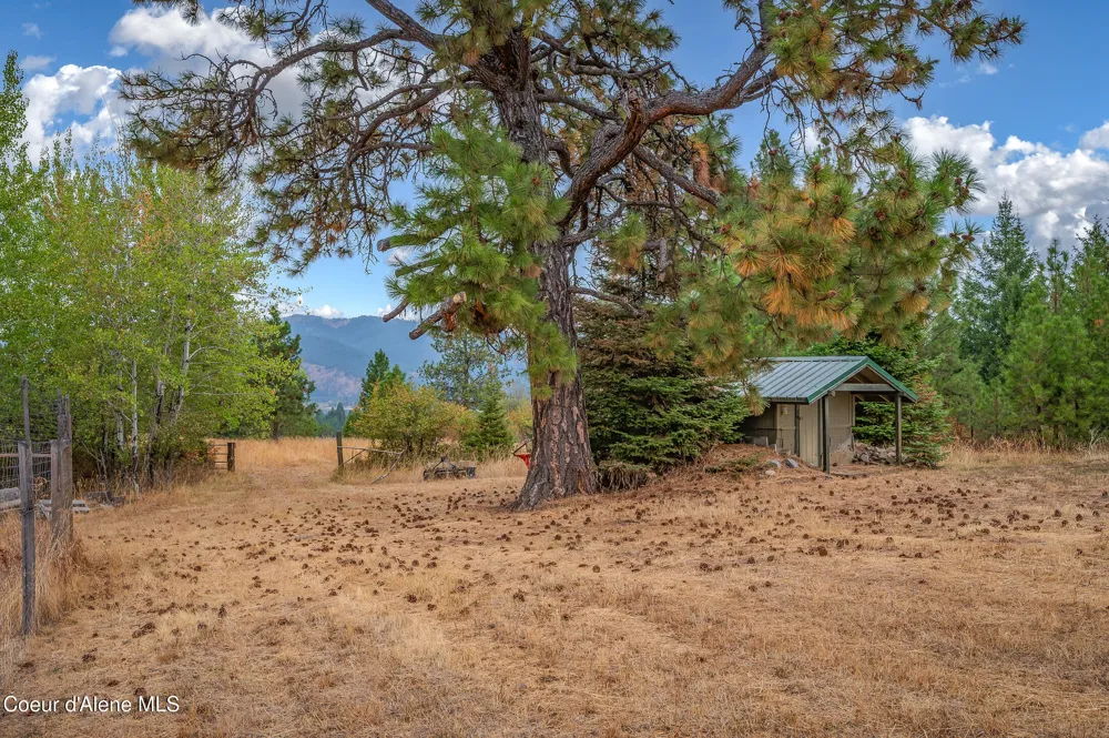 26706 S WILLOW CREEK ROAD Medimont, ID 83842