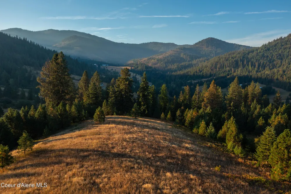 26706 S WILLOW CREEK ROAD Medimont, ID 83842