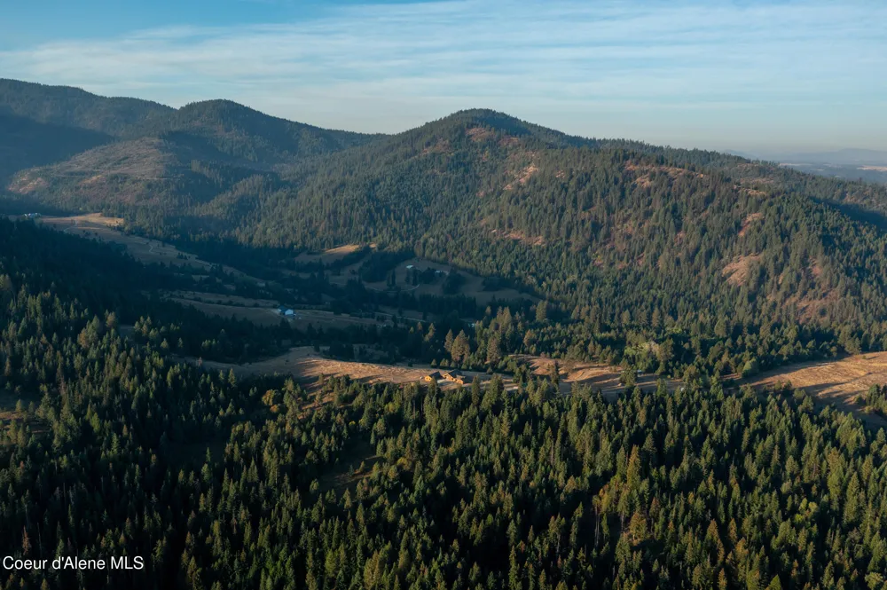 26706 S WILLOW CREEK ROAD Medimont, ID 83842