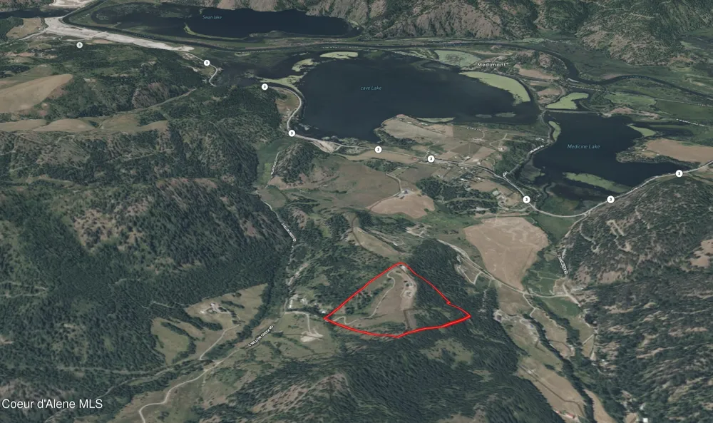 26706 S WILLOW CREEK ROAD Medimont, ID 83842