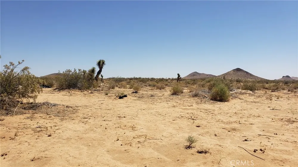 Reed Avenue Mojave, CA 93501