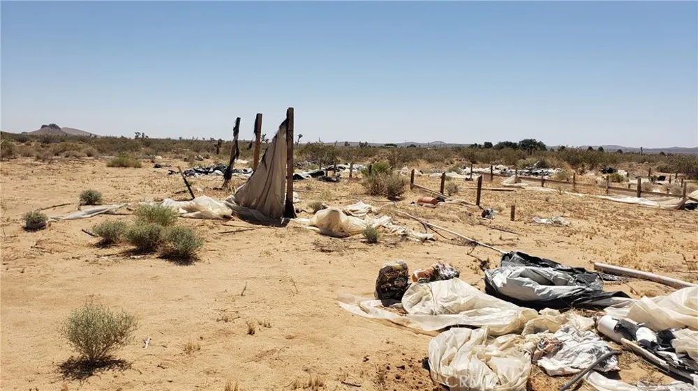 Reed Avenue Mojave, CA 93501